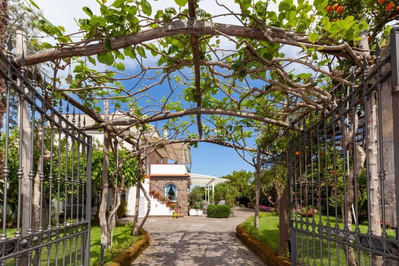 Villa Maresca B&B П'яно-ді-Сорренто Екстер'єр фото