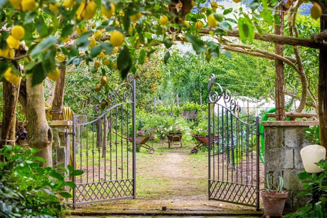 Villa Maresca B&B П'яно-ді-Сорренто Екстер'єр фото