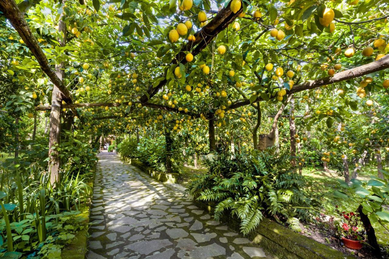 Villa Maresca B&B П'яно-ді-Сорренто Екстер'єр фото