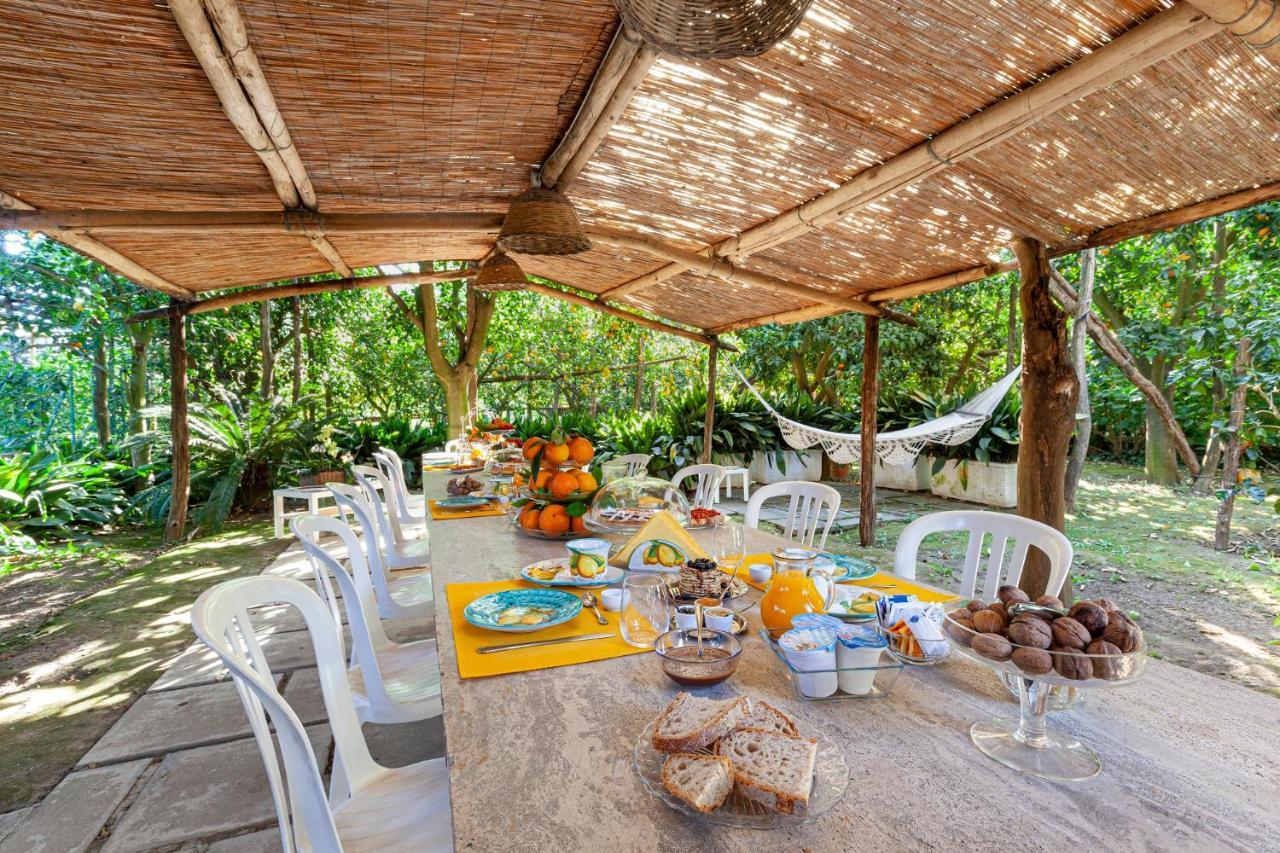 Villa Maresca B&B П'яно-ді-Сорренто Екстер'єр фото