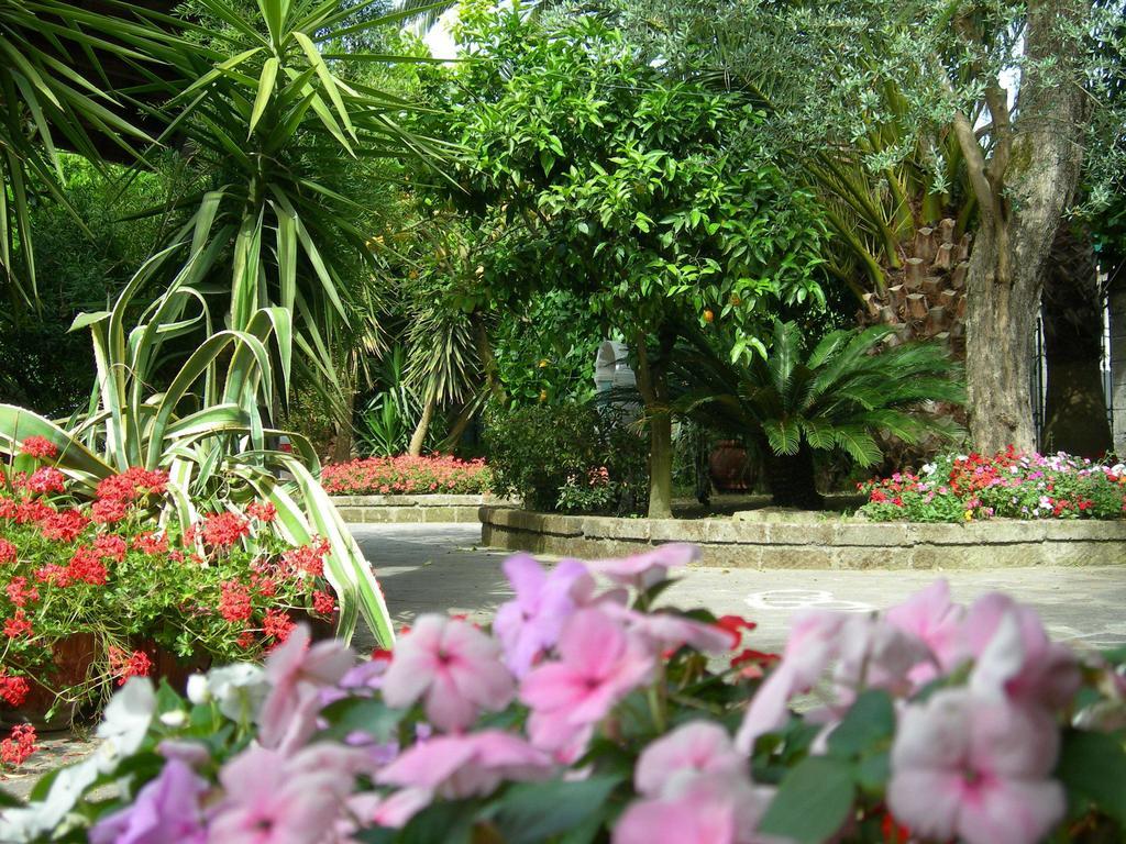 Villa Maresca B&B П'яно-ді-Сорренто Екстер'єр фото